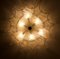 Ceiling Light Star Ice from Kalmar, 1970s 6