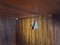 Kleiderschrank aus Nussholz & Ahorn im Chippendale Stil, 1930 16