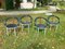 Alpha Chairs by Anna Anselmi for Bieffeplast, 1985, Set of 4 28