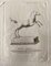 Old Master, Animal Figures from Ancient Rome, Original Etching, 1750s 1
