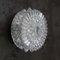 Mid-Century Round Clear Glass Wall Light, Image 4