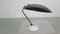 8023 Tischlampe von Bruno Gatta für Stilnovo, Italien, 1960er 4