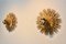 Natural Large Carved Sunburst Wooden Sconces, 1960s, Set of 2 3