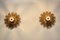 Grandes Appliques Murales Sunburst en Bois Naturel Sculpté, 1960s, Set de 2 10