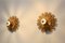 Natural Large Carved Sunburst Wooden Sconces, 1960s, Set of 2 4
