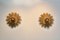 Natural Large Carved Sunburst Wooden Sconces, 1960s, Set of 2 7