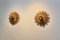 Natural Large Carved Sunburst Wooden Sconces, 1960s, Set of 2 5