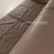 Tyra Leather 2-Seater Sofa from Ewald Schillig 5