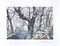 Rolandi (Maurizio Coccia), In The Forest, Screen Print, 1980s 1