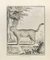 Louis Legrand, Le Chat Sauvage, Eau-forte, 1771 1