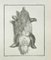 Louis Legrand, Anatomy of Animals, Etching, 1771 1