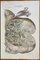 Ottavio Muzzi, Diseases of the Ovary, Lithograph, 1843 1