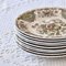 Windsor Staffordshire Polychrome Plates from Ridgway, 1970s, Set of 10 7