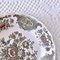 Windsor Staffordshire Polychrome Plates from Ridgway, 1970s, Set of 10 13