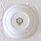 Windsor Staffordshire Polychrome Plates from Ridgway, 1970s, Set of 10 11