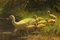 Ducks on the Waterfront, Oil on Linen, Early 20th Century 2
