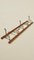 Folding Coat Rack in Walnut and Bent Metal, 1900s 6