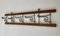 Portemanteau Pliant en Noyer et Métal Courbé, 1900s 2