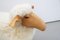 Sheep Rocking Horse by Hanns Peter Krafft for Meier, 1980s 4