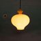 Lampe à Suspension Vintage en Verre par Hans Agne Jakobssen 7