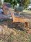 Fauteuil de Jardin Måsö en Osier par Maria Vinka pour Ikea, 2000s 3