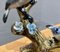 Pájaros cantando en una rama con flores, años 50, Imagen 7