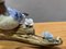 Pájaros cantando en una rama con flores, años 50, Imagen 5