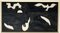 Simon Shegelman, The Sea of Hopes, 1980s, Mixed Media on Paper 6