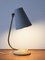 Midcentury Schreibtischlampe, 1950er 10