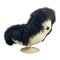 Vintage Star Maidens Sheepskin Swivel Chair from Lurashell, 1971 6
