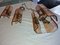 Chandelier and Veca Wall Lights from Fontana Arte, 1960s, Set of 3 8