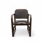 Modernist Bentwood Armchair A 745 F by Michael Thonet for Tatra, 1930s 3