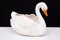 Jardinière Cygne Antique en Céramique de Capodimonte, 1880 4
