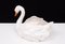 Jardinière Cygne Antique en Céramique de Capodimonte, 1880 13