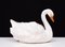 Jardinière Cygne Antique en Céramique de Capodimonte, 1880 10