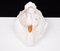 Jardinière Cygne Antique en Céramique de Capodimonte, 1880 12