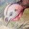 Antique Educational Wall Chart, Lithograph, Turkey, 19th Century 4