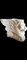 Base in pietra a forma di leone alato, inizio XV secolo, Immagine 7