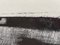 Petrus De Man, Le Seuil, 2004, Silk-Screen 5