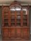Antique Burr Walnut Bookcase, 1860 1
