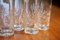 350 ml Gläser von Huta Julia, 6er Set 5