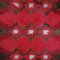 Red Sea Rya Rug for Marks Rya, 1959, Image 2