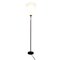 Schwedische Stehlampe von Eric Wärnå für Ewå, 1950er 17