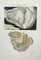 Ottavio Muzzi, Stomach Diseases, Lithograph, 1843 1