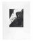 Leo Guida, Dark Lemur, Etching, 1970s 1