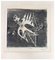 Johnny Friedlaender, Untitled, Etching, 1970s 1