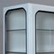 Vintage Iron and Glass Medical Cabinet, 1970s 5