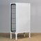 Vintage Iron and Glass Medical Cabinet, 1970s 9