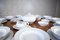 Yvonne 12-Person Dinner Service by Ćmielów, Set of 45 4