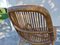 Fauteuil Jungle en Osier attribué à George Coslins pour Gervasoni, 1950s 13